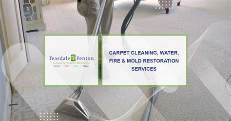 Teasdale fenton - Teasdale Fenton Dayton is your go-to source for top-notch carpet cleaning in the Cincinnati and Dayton areas. Our services also include hardwood floor, furniture, rug, and air duct cleaning. We're always ready to help with emergency services for water, fire, mold, and pet messes, available 24/7. See why our past customers are raving about us by ... 